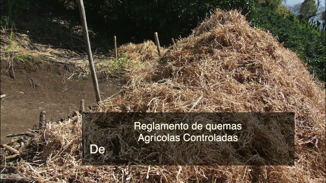 Autorización para realizar quemas otorgada por la Xunta de Galicia