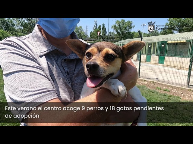 Centro de atención de animales en Pamplona