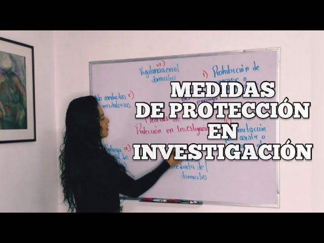 Medidas de precaución en el procedimiento penal