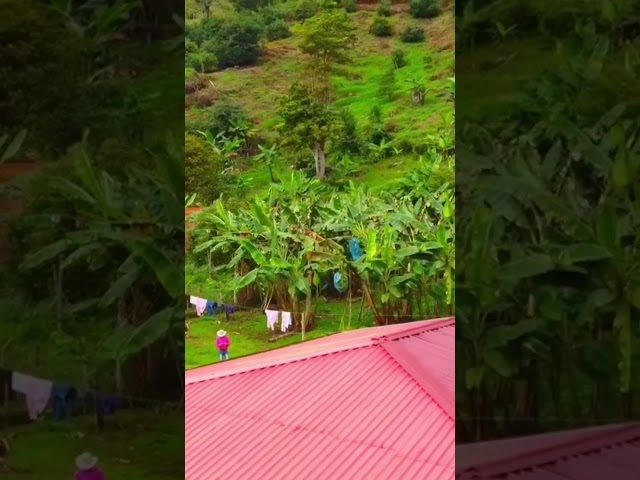 Parcelas en Villanueva del Rey Écija