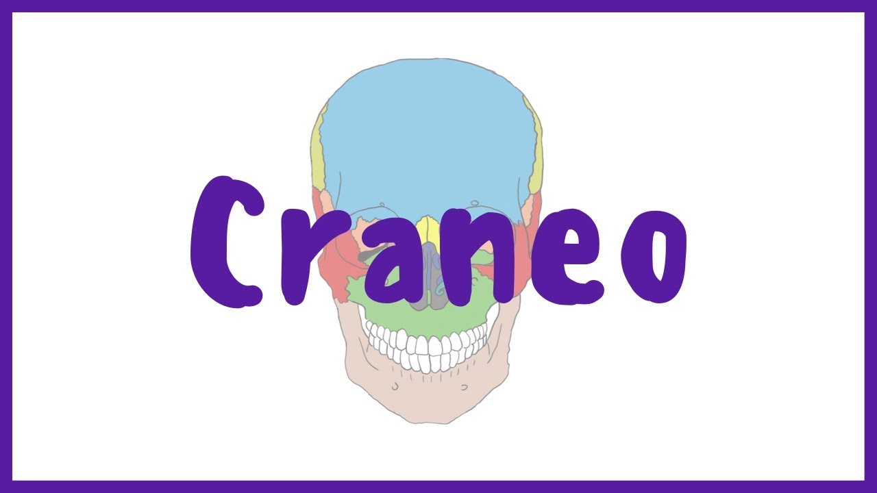 Puntos de referencia en la cara