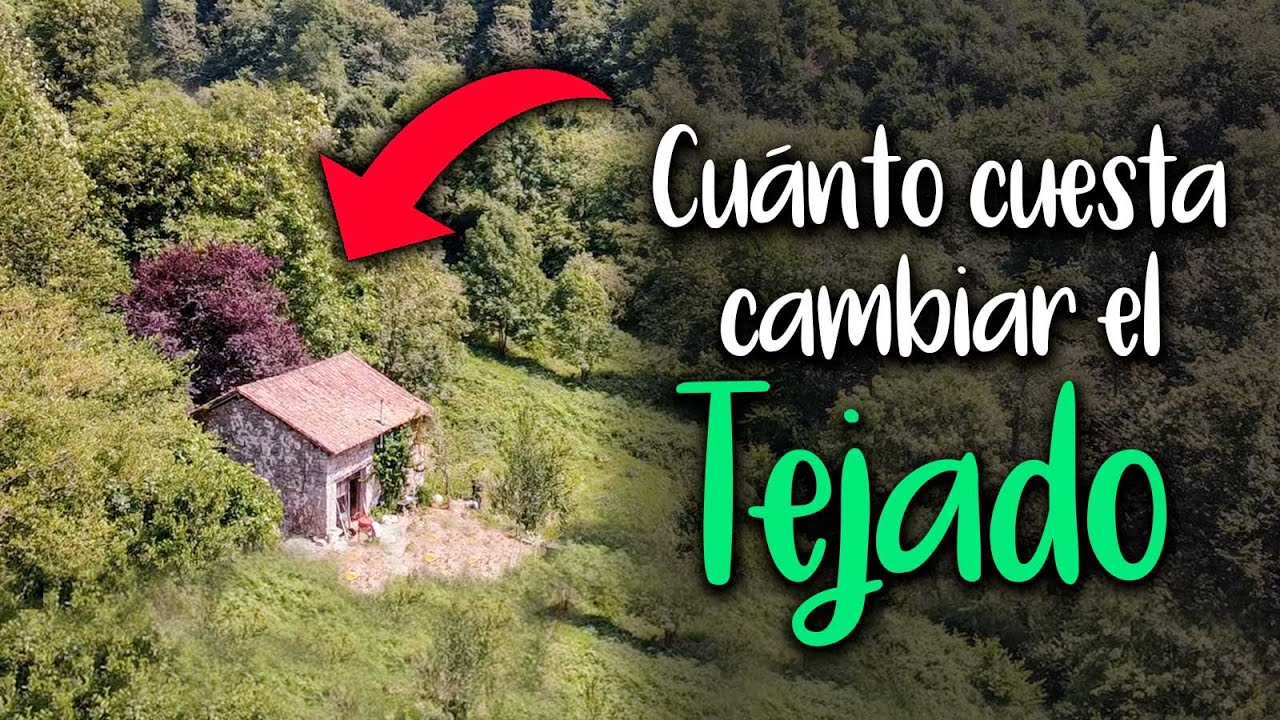Se necesita un proyecto para reemplazar un tejado
