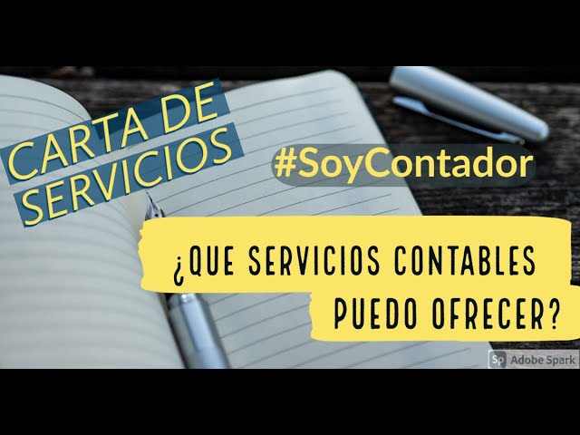 Servicios de contabilidad ofrecidos por empresas externas