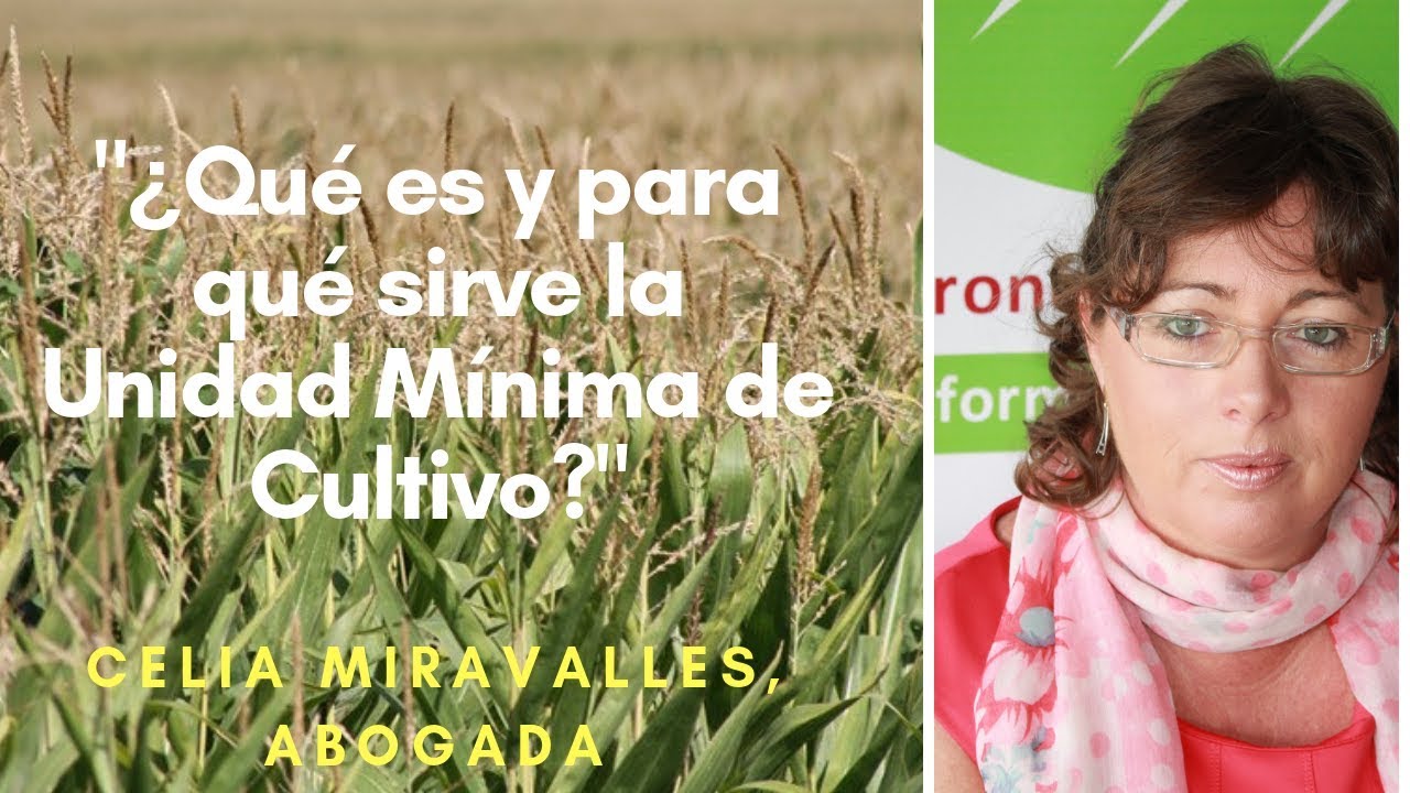 Unidad mínima de cultivo en Castilla y León