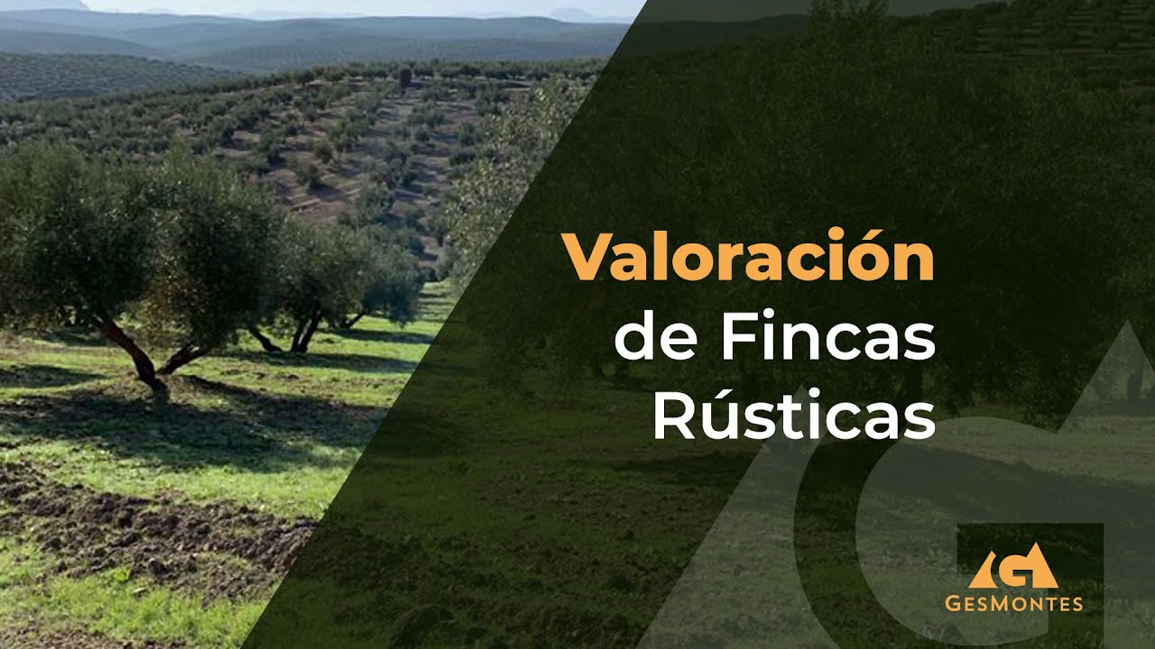 Valoración de fincas rústicas por la Junta de Andalucía