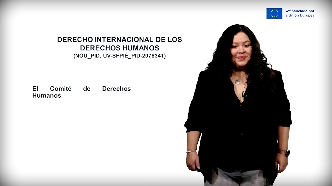 ¿Qué funciones tiene el Comité de Derechos Humanos?