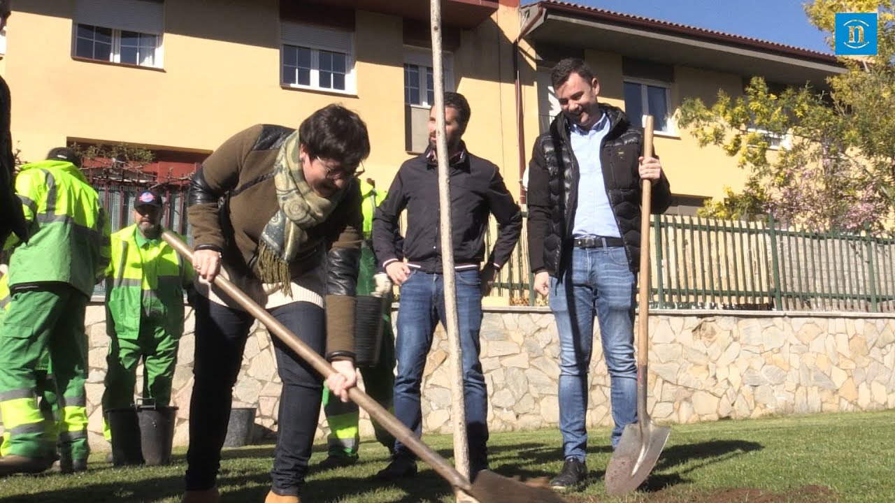 Ley de Montes en Castilla y León