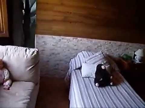 Parcelas con vivienda legal en Rota