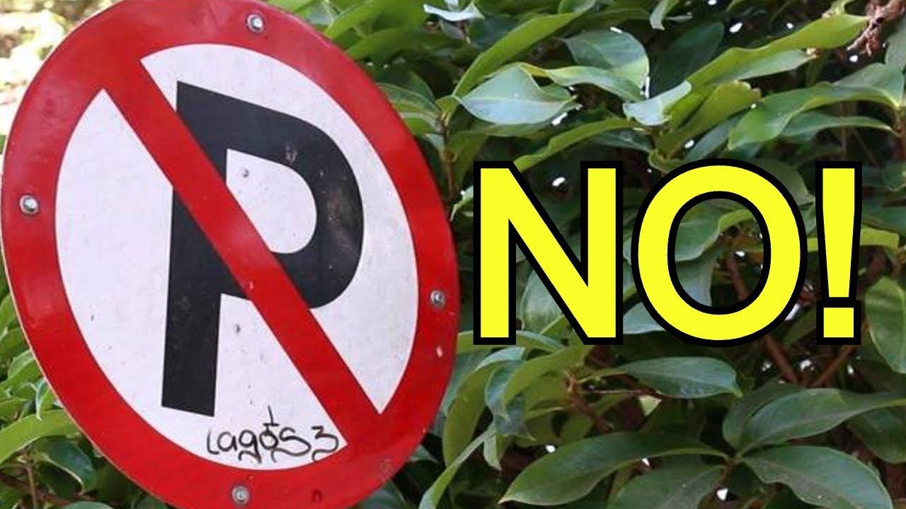 Prohibido estacionar permitido solo para vehículos autorizados