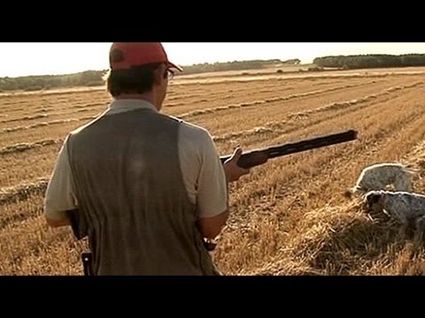 Venta de permisos de caza en Castilla y León