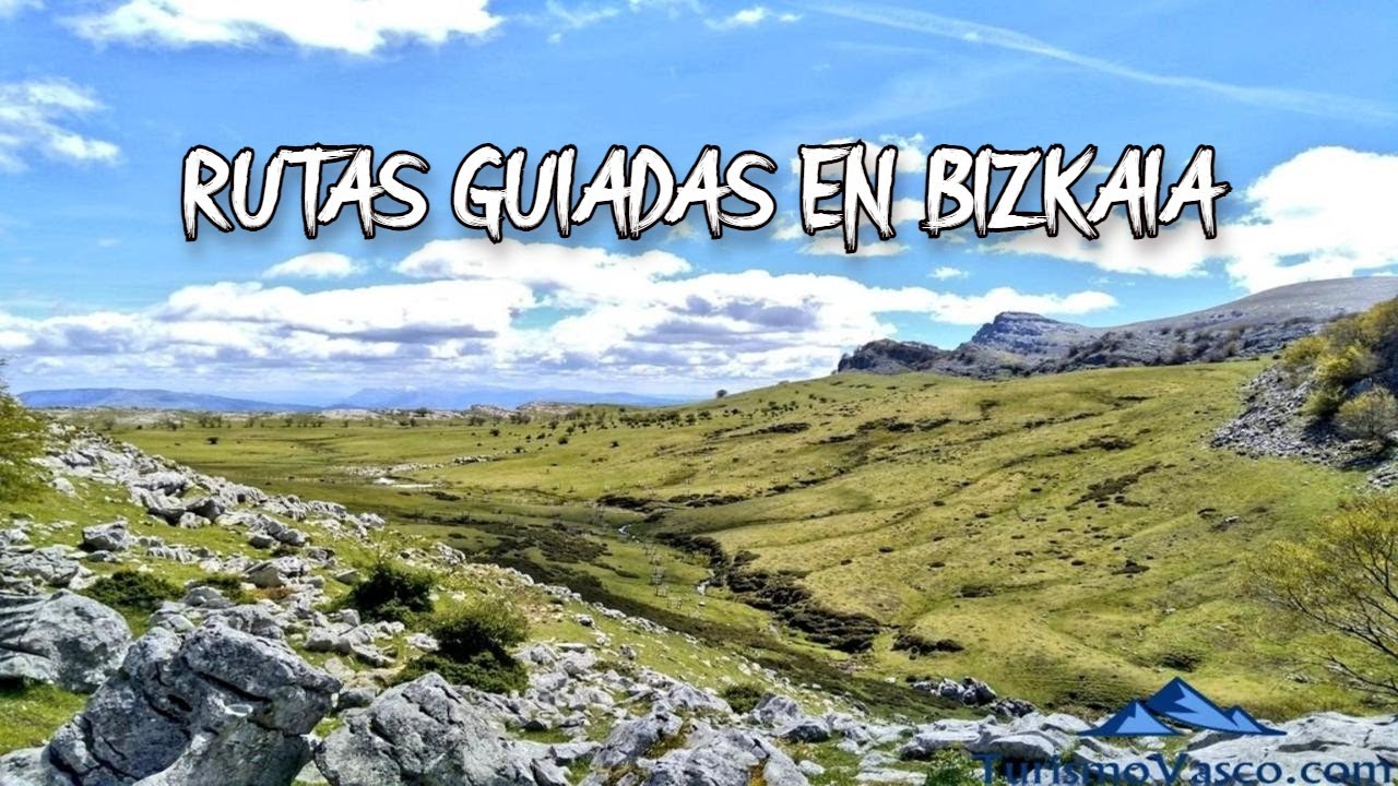Oficina Territorial de Tráfico en Bizkaia