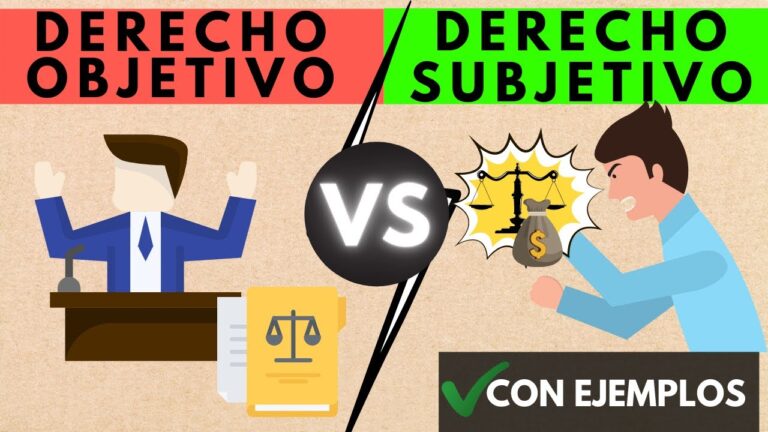 Tipos de delito: Objetivo y Subjetivo - Caludia Manas