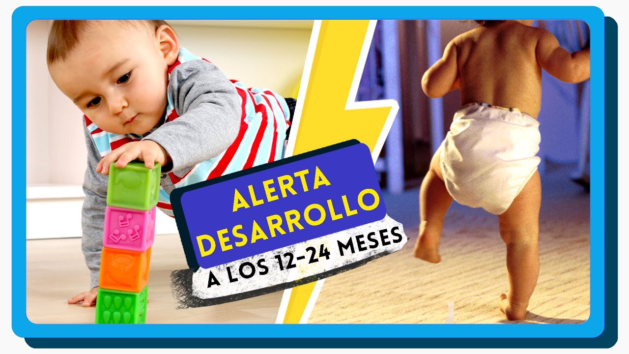 ¿Qué implicaciones tiene una multa de 12 a 24 meses?